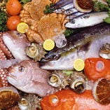 毎日、親方厳選の三陸産を中心とした鮮魚を入荷！旬の地魚を是非！