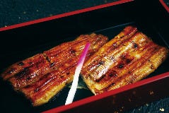 江戸川 あべのハルカスダイニング店