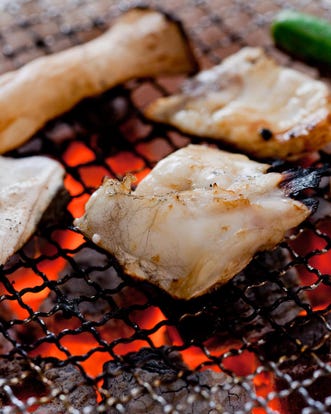 美味しいお店が見つかる 本町 堺筋本町のふぐ ふぐ料理 でおすすめしたい人気のお店 ぐるなび