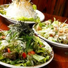 定番サラダやお酒の肴にピッタリのサラダなど種類も豊富☆