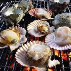 かねこ 四季の味彩 地図 柏崎 割烹 ぐるなび