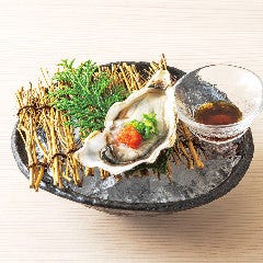 個室居酒屋 海鮮料理 さかなや道場 町屋駅店_活〆牡蠣　単品　各1個