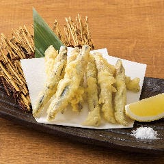 個室居酒屋 海鮮料理 さかなや道場 町屋駅店_【阿久根産】きびなご天ぷら