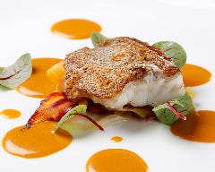 Y S Kitchen ワイズキッチン 唐津 呼子 玄海 イタリアン イタリア料理 ぐるなび Y S Kitchen ワイズキッチン 唐津 呼子 玄海 イタリアン イタリア料理 ぐるなび