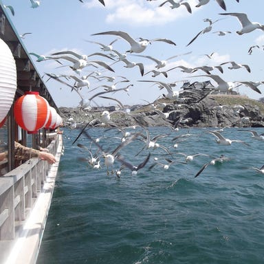 八戸屋形船 新井田丸_ウミネコの繁殖地・天然記念物の蕪島