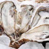 北海道厚岸産の生牡蠣も肉厚たっぷりでとっても美味です。