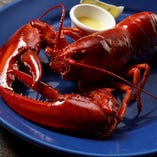 ライブロブスター(スチーム)
Live Lobster <Steamed>