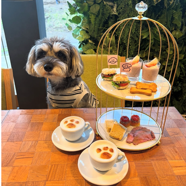 evergreen cafe restaurant EBISU_ドッグフレンドリーなお店です★