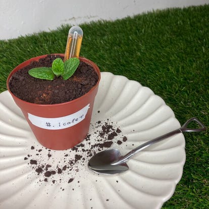 美味しいお店が見つかる 高知市の食事 ディナーでおすすめしたい人気レストラン ぐるなび