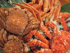 函館 開陽亭 すすきの総本店_開陽亭自慢の活かにと人気蟹メニュー