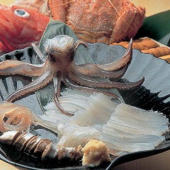 北の幸 海道 すすきの（地図/札幌すすきの/海鮮（海鮮料理）） - 楽天