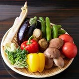 季節の有機野菜【日本全国】