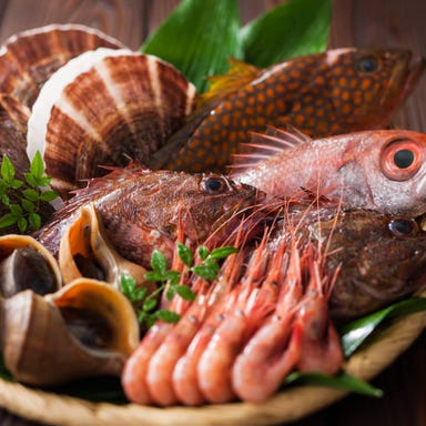 個室居酒屋 炭火焼き鳥ほむら 池袋本店_新鮮な海の幸を味わう贅沢な逸品