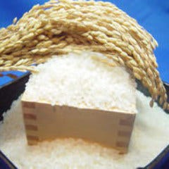 栃木県の農家さんが丁寧に育てたお米を厳選して入荷しております