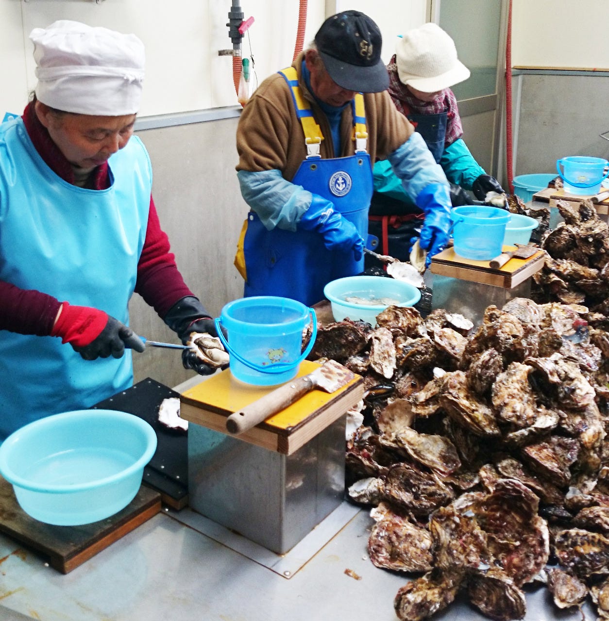海 湘丸 海老名 店