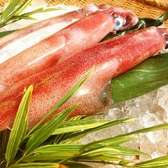イカの中で一番美味しい、伊豆近海の赤イカ