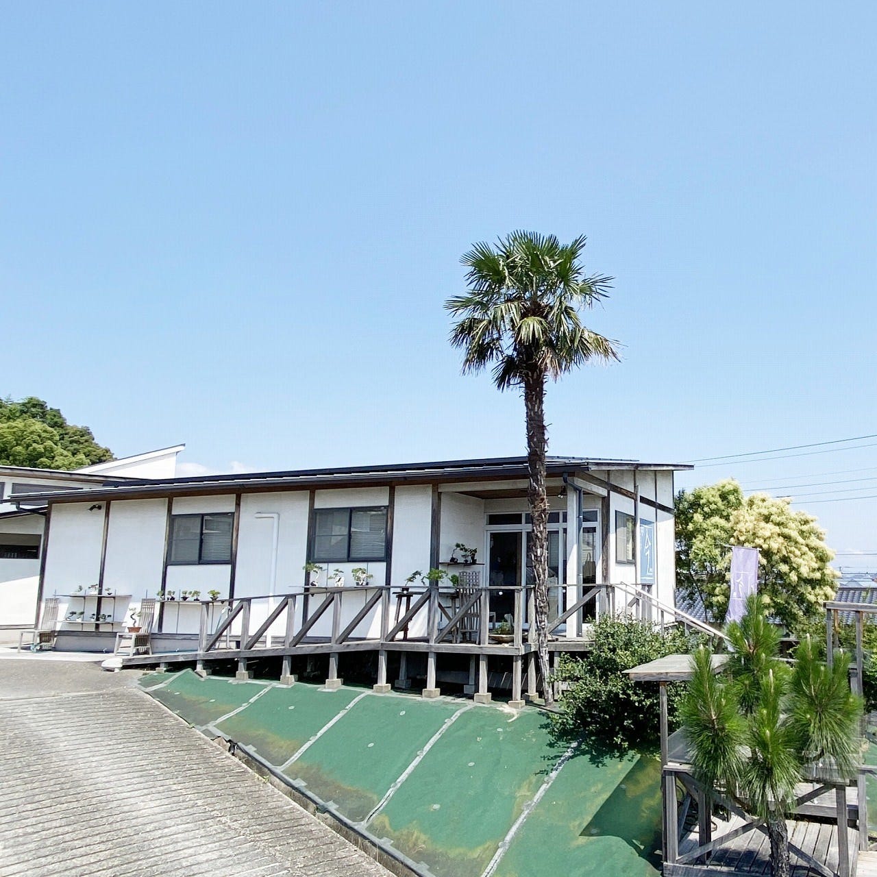 イマplants cafe&galleryのURL1
