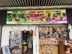 Food Hut Plus 