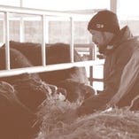 博多和牛（2011年「九州管内系統和牛枝肉共励会」金賞受賞牛輩出）
