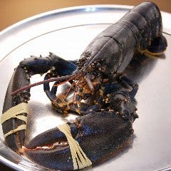tapis rouge 自慢の食材 オマールブルー ぐるなび tapis rouge 自慢の食材 オマールブルー ぐるなび