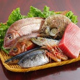 豊洲へ通い厳選して仕入れる築地直送の朝獲れ鮮魚【東京都】