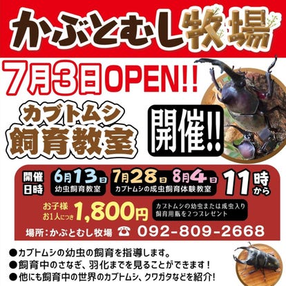 魚料理の美味しいお店 糸島でおすすめしたい人気のお店 ぐるなび 魚料理の美味しいお店 糸島でおすすめしたい人気のお店 ぐるなび