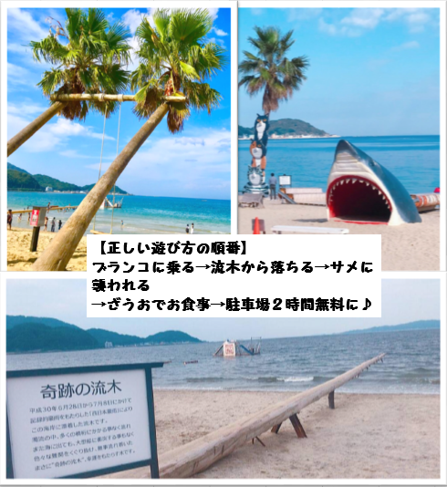 ざうお 本店 その他西区 糸島 食堂 定食 ぐるなび