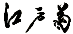 江戸菊
