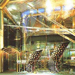 難波 個室 活 伊勢海老料理 中納言 千日前味楽館