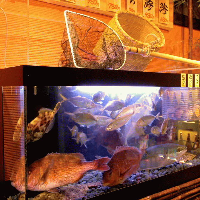 個室 はなの舞 名鉄レジャック店 名駅 居酒屋 ぐるなび