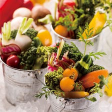 【盛り放題バーニャカウダー】栄養たっぷりの有機野菜は常時10種類以上