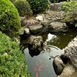 庭園にて鯉も泳いでいます