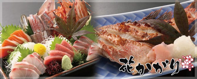 花かがり 熱海 海鮮 海鮮料理 ぐるなび 花かがり 熱海 海鮮 海鮮料理 ぐるなび