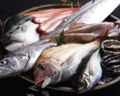 魚料理 ろっこん 和歌山駅前