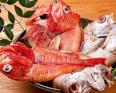 魚料理 ろっこん 和歌山駅前