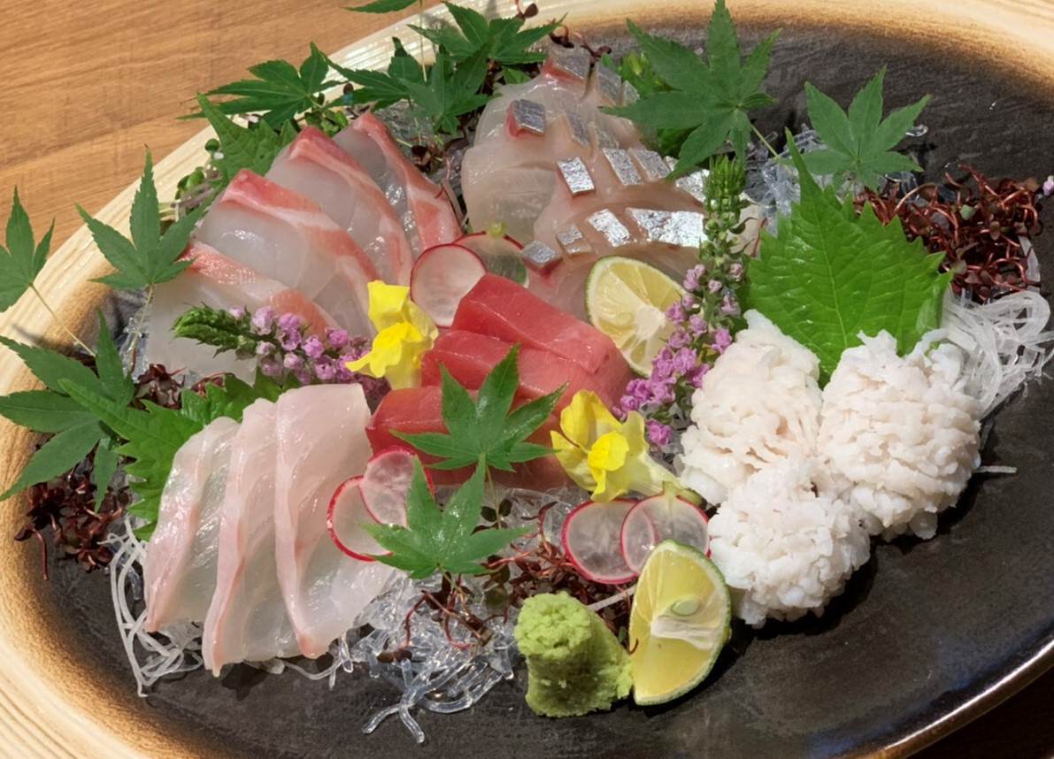 魚貝・鶏料理・日本酒 とよ新 神戸三宮