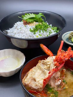 しらすと伊勢海老の忠兵衛 メニュー 丼物 ぐるなび