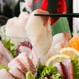 三浦〜鮮魚を仕入れ◎新鮮な食材のみ目利きしてご提供