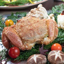 新宿 女子会におすすめ 3 000円以内 おすすめ人気レストラン ぐるなび 新宿 女子会におすすめ 3 000円以内 おすすめ人気レストラン ぐるなび
