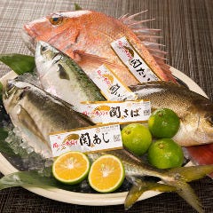 漁港直送！大分の恵みを喰らう