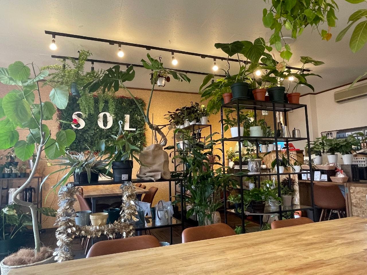 Botanical cafe SOL