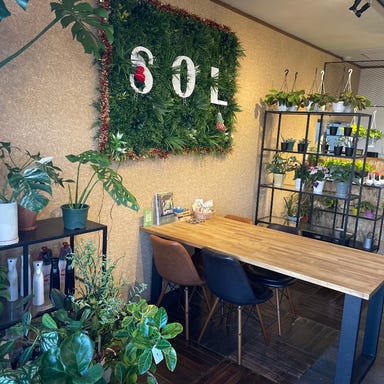 Botanical cafe SOL  店内の画像
