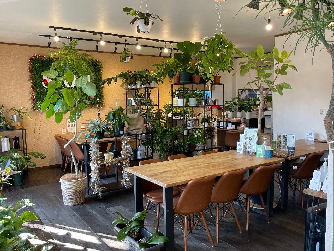 Botanical cafe SOL