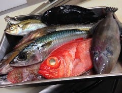 色菜広場 いっぽいっぽ