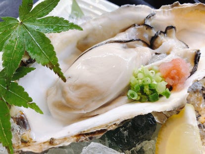 美味しいお店が見つかる 新宿 鍋 おしゃれな雰囲気 おすすめ人気レストラン ぐるなび 美味しいお店が見つかる 新宿 鍋 おしゃれな雰囲気 おすすめ人気レストラン ぐるなび