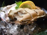 夏に旬を迎える「岩牡蠣」大粒ながら濃厚な味わいをご堪能ください！