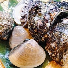 新鮮な活魚をご用意！