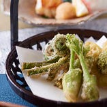 春の味覚「山菜」。天婦羅などの定番料理から当店オリジナルの山菜料理まで、旬の味覚をお楽しみ頂けます！