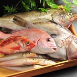 日本全国の港から直送する厳選した季節の新鮮抜群の魚【東京都】
