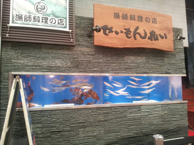 漁師料理の店 せいもん払い 川端 祇園 海鮮 海鮮料理 ぐるなび